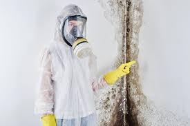 Best Air Quality Testing for Mold Spores in USA